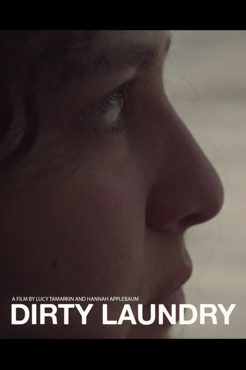 Dirty Laundry poster