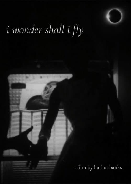 i wonder shall i fly poster