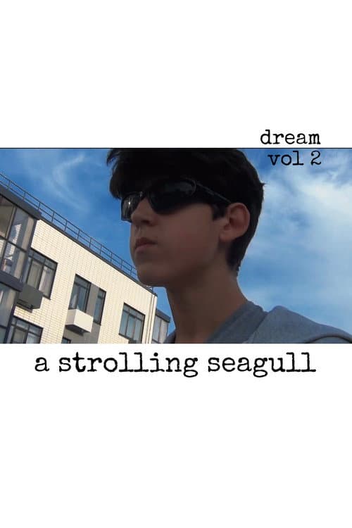 Dream vol 2. «A strolling seagull» poster