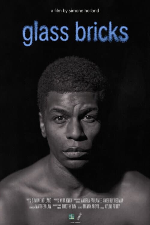 Glass Bricks poster