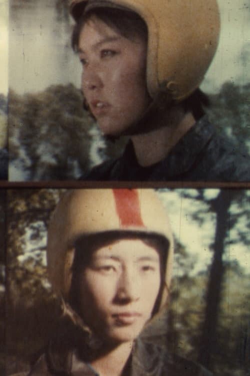 Light Cavalry Girl poster