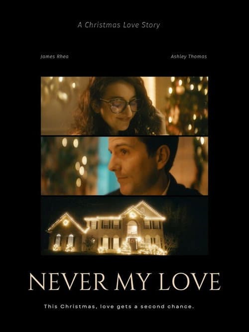 Never My Love poster