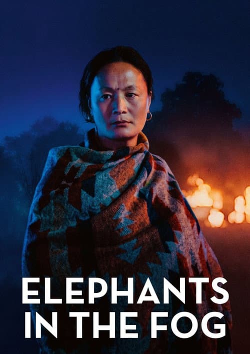 Elephants in the Fog poster