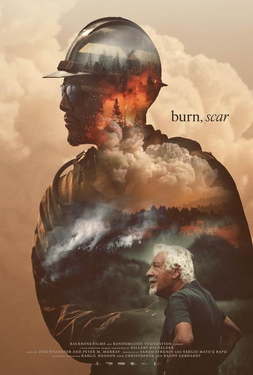 burn, scar poster