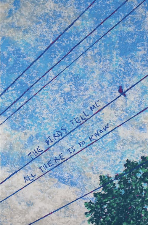 The Birds Tell Me All There Is to Know poster