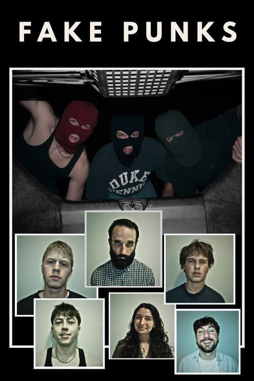Fake Punks poster